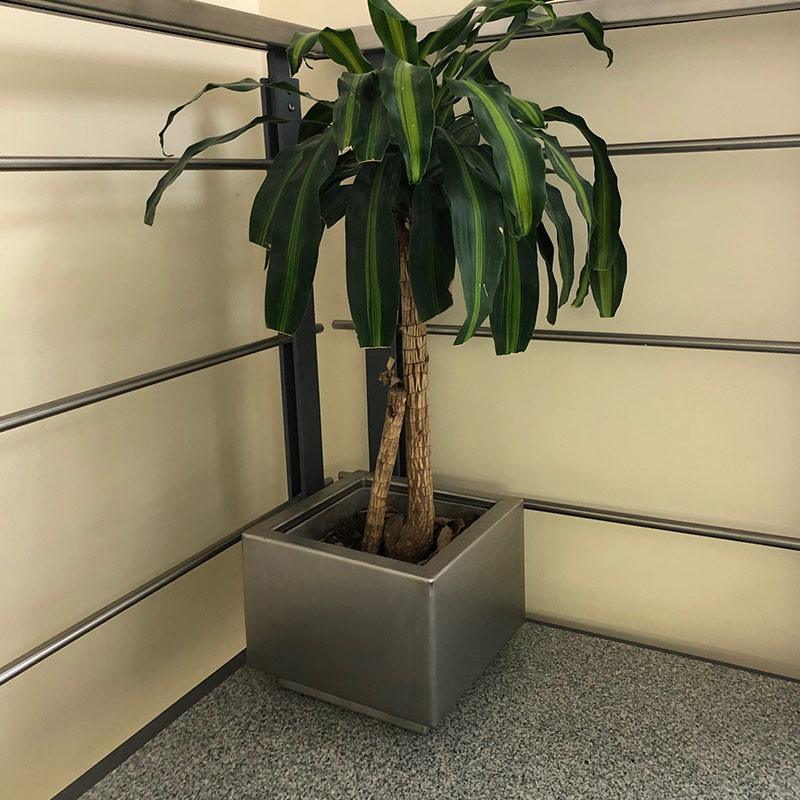 Macetas de Acero Inoxidable - Imagen 3