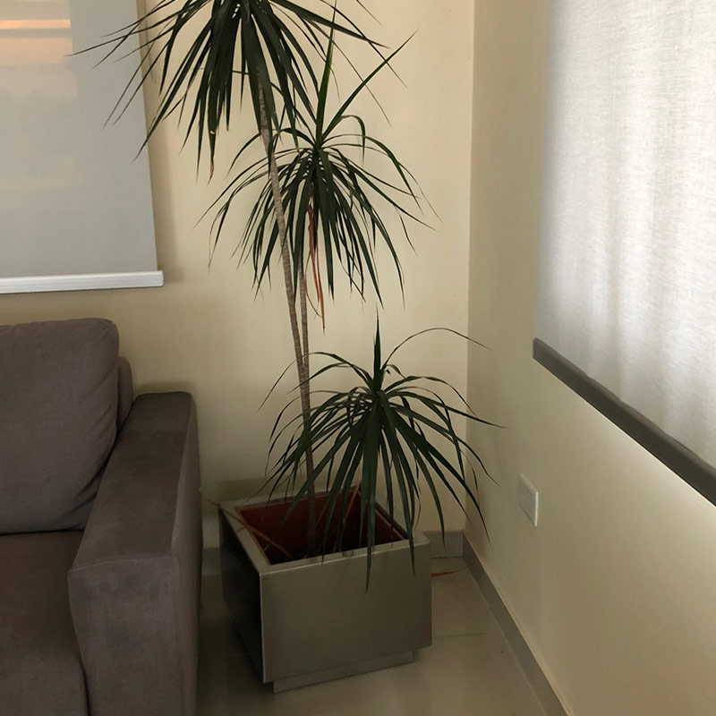 Macetas de Acero Inoxidable