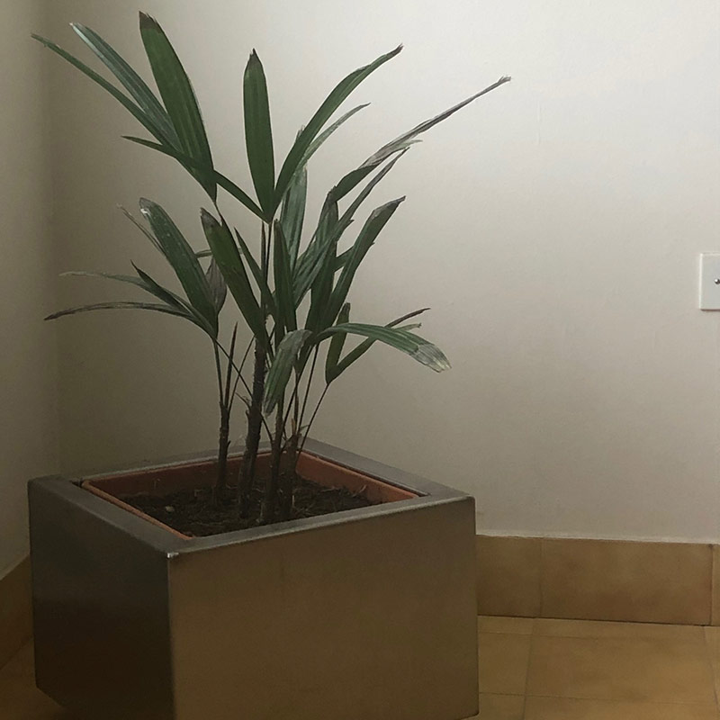 Macetas de Acero Inoxidable - Imagen 2